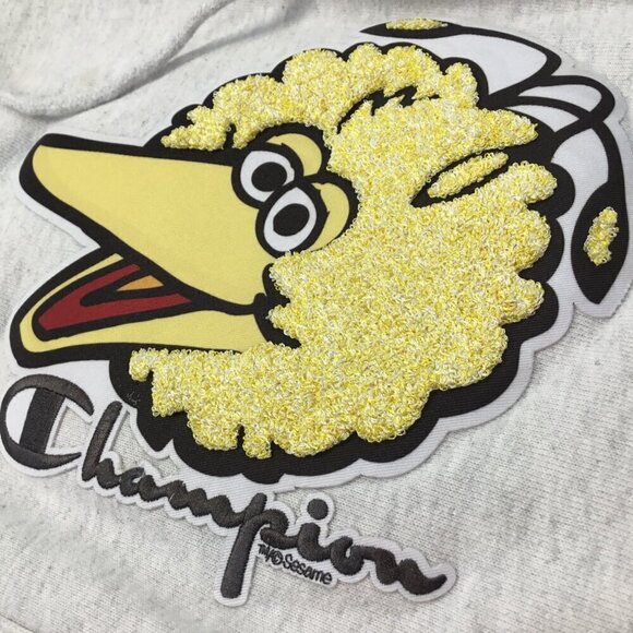 Champion Reverse Weave Big Bird Hoodie Vtg Sesame Street Sweatshirt Patch Small - Picture 9 of 9